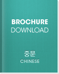 chiness Brochure